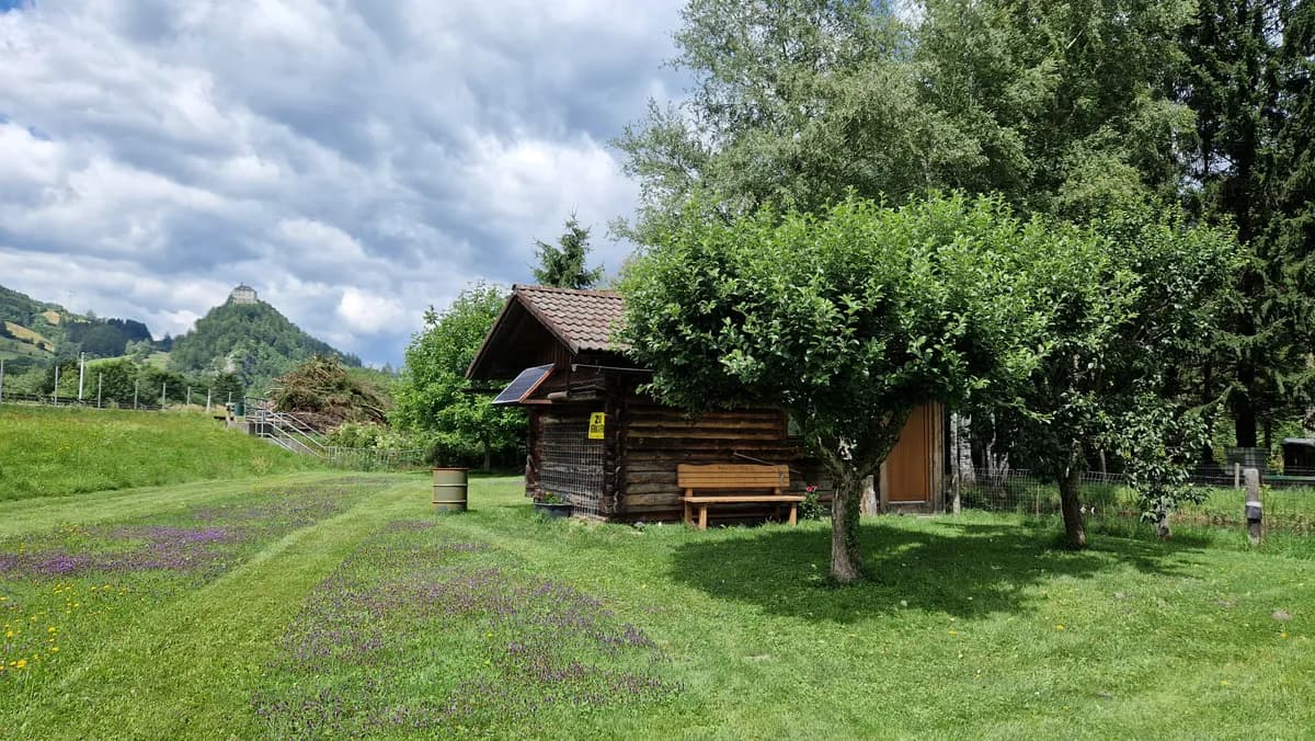 Grundstück kaufen in Liezen – 5 228 m², € 89.000 – Bild 9 von 12