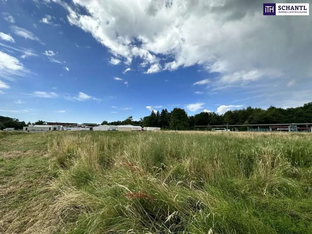Grundstück kaufen in Graz-Umgebung – 18 561 m², € 3.990.000