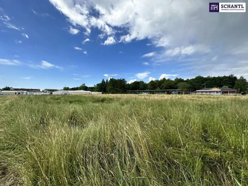 Grundstück kaufen in Graz-Umgebung – 18 561 m², € 3.990.000 – Bild 4 von 9