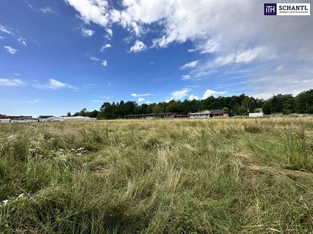 Grundstück kaufen in Graz-Umgebung – 18 561 m², € 3.990.000 – Bild 5 von 9