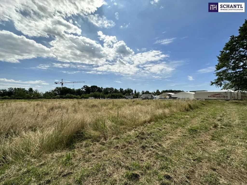 Grundstück kaufen in Graz-Umgebung – 18 561 m², € 3.990.000 – Bild 6 von 9