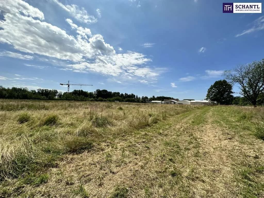 Grundstück kaufen in Graz-Umgebung – 18 561 m², € 3.990.000 – Bild 7 von 9
