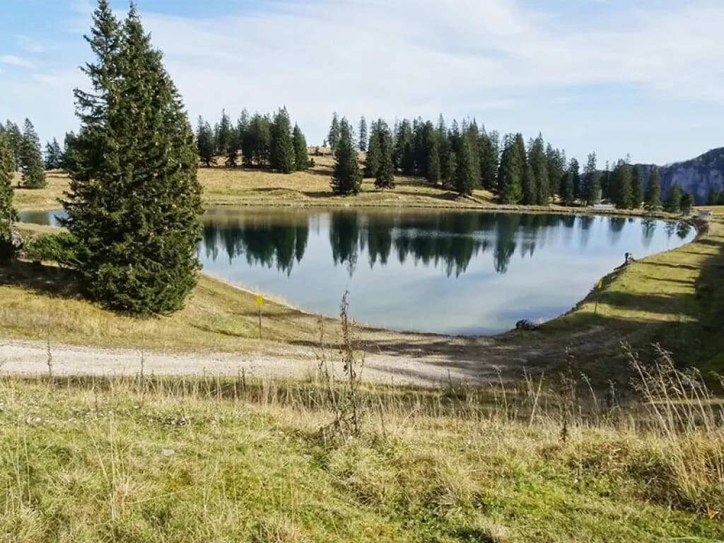 10-Zimmer-Gewerbeimmobilie kaufen in Gmunden – 180 m² – Bild 4 von 6