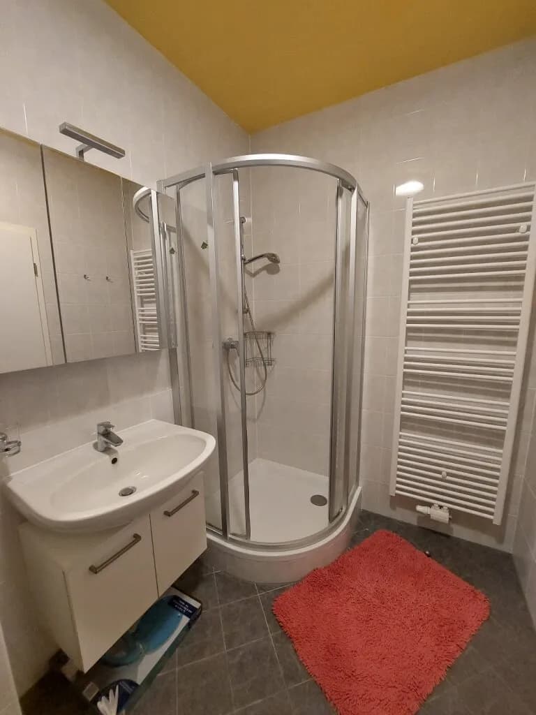 1-Zimmer-Wohnung mieten in Neusiedl am See – 31,3 m², € 480 – Bild 9 von 9