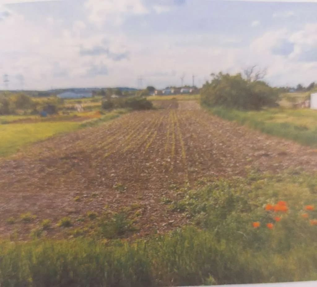 Grundstück kaufen in Neusiedl am See – 899 m², € 330.000 – Bild 1 von 2