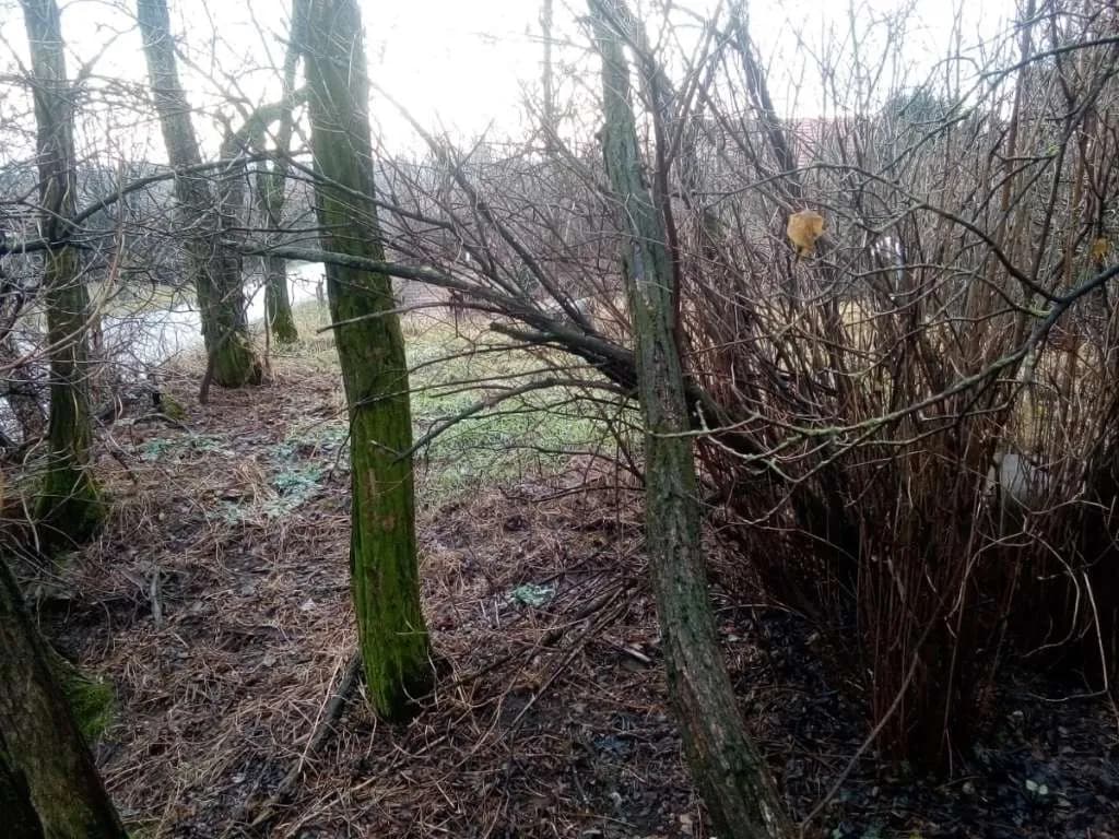 Immobilie kaufen in Mistelbach – 86 m², € 33.000 – Bild 24 von 24