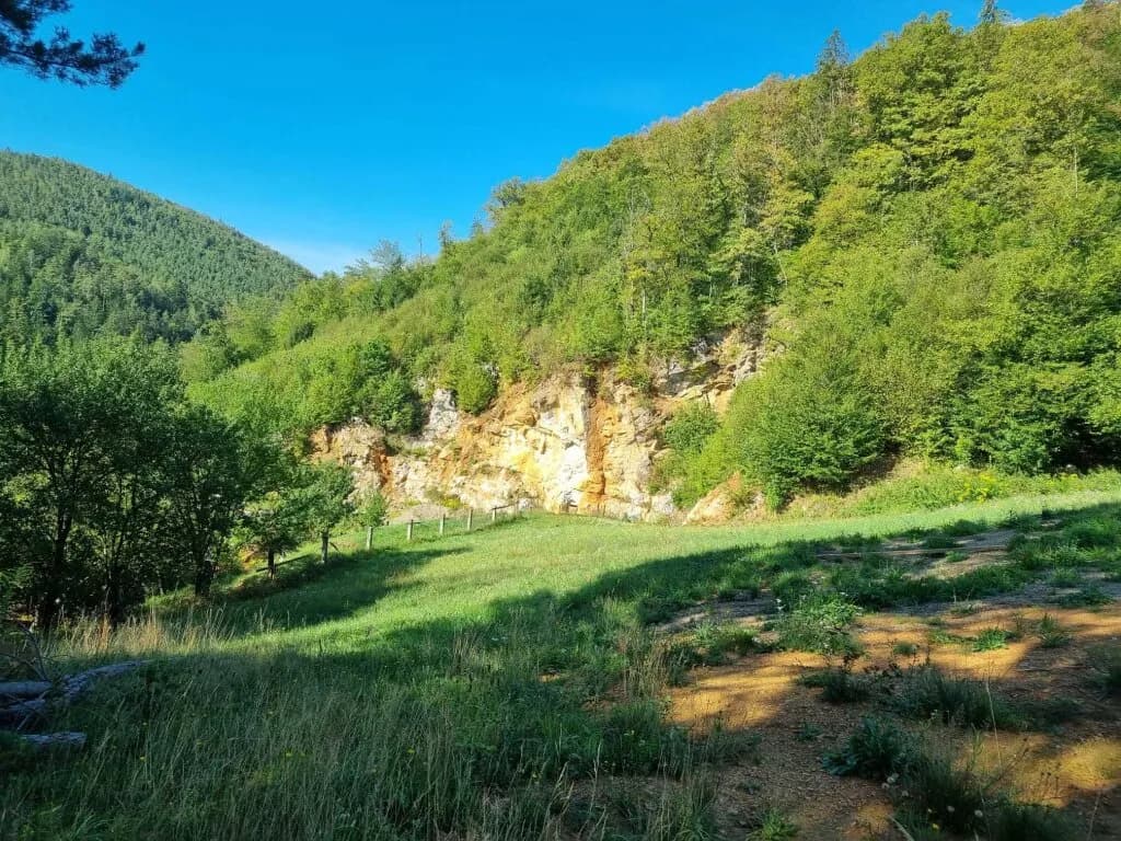 Grundstück kaufen in Graz-Umgebung – 5 438 m², € 1.177.000 – Bild 4 von 31