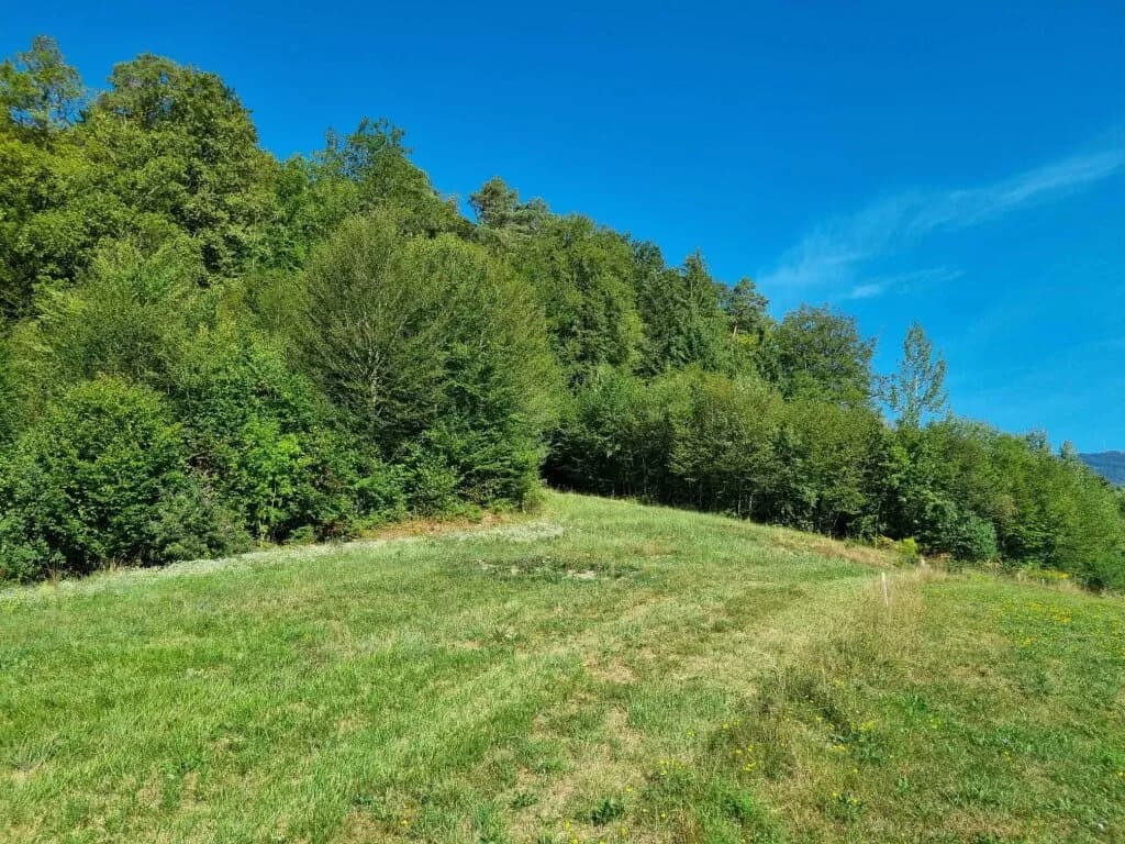 Grundstück kaufen in Graz-Umgebung – 5 438 m², € 1.177.000 – Bild 6 von 31