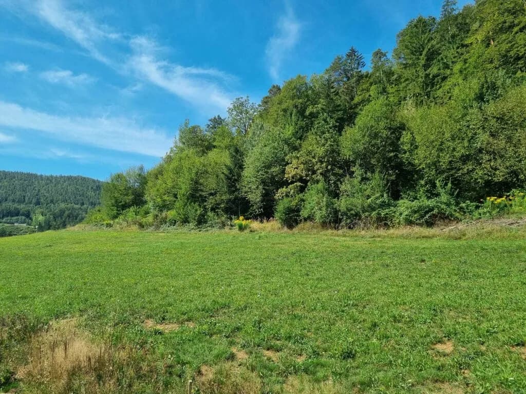 Grundstück kaufen in Graz-Umgebung – 5 438 m², € 1.177.000 – Bild 9 von 31