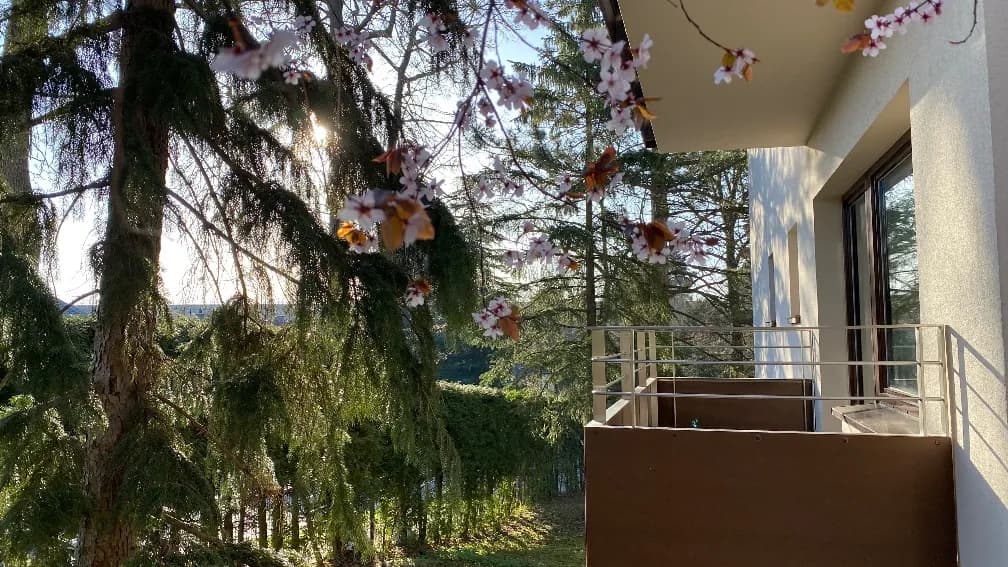 Wohnung kaufen in Baden – 69 m², € 299.000 – Bild 8 von 31