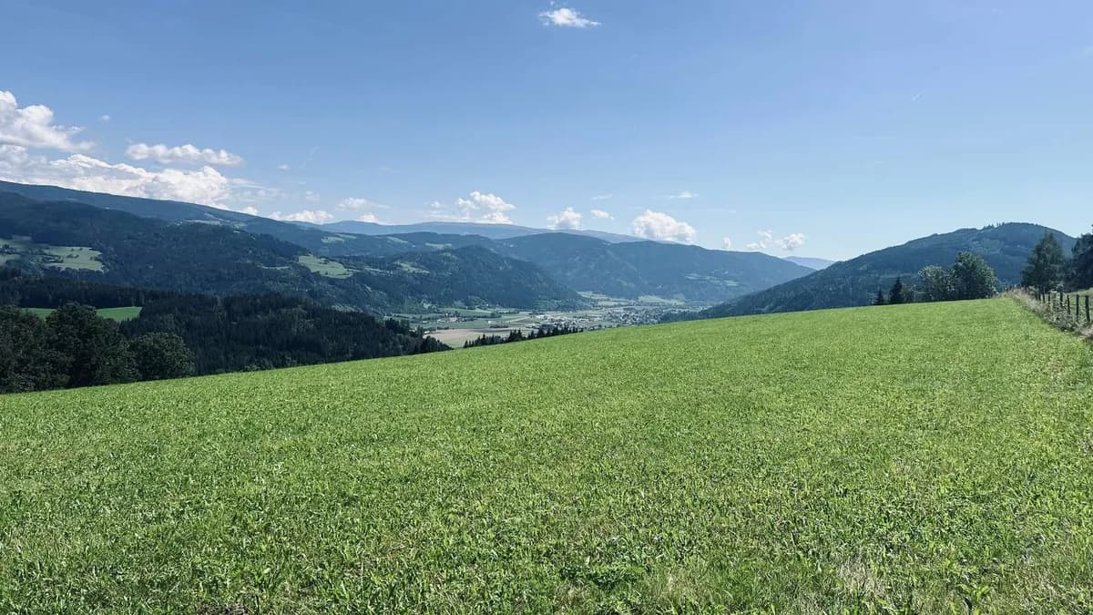 Grundstück kaufen in Sankt Veit an der Glan – 107 606 m², € 480.000 – Bild 3 von 8