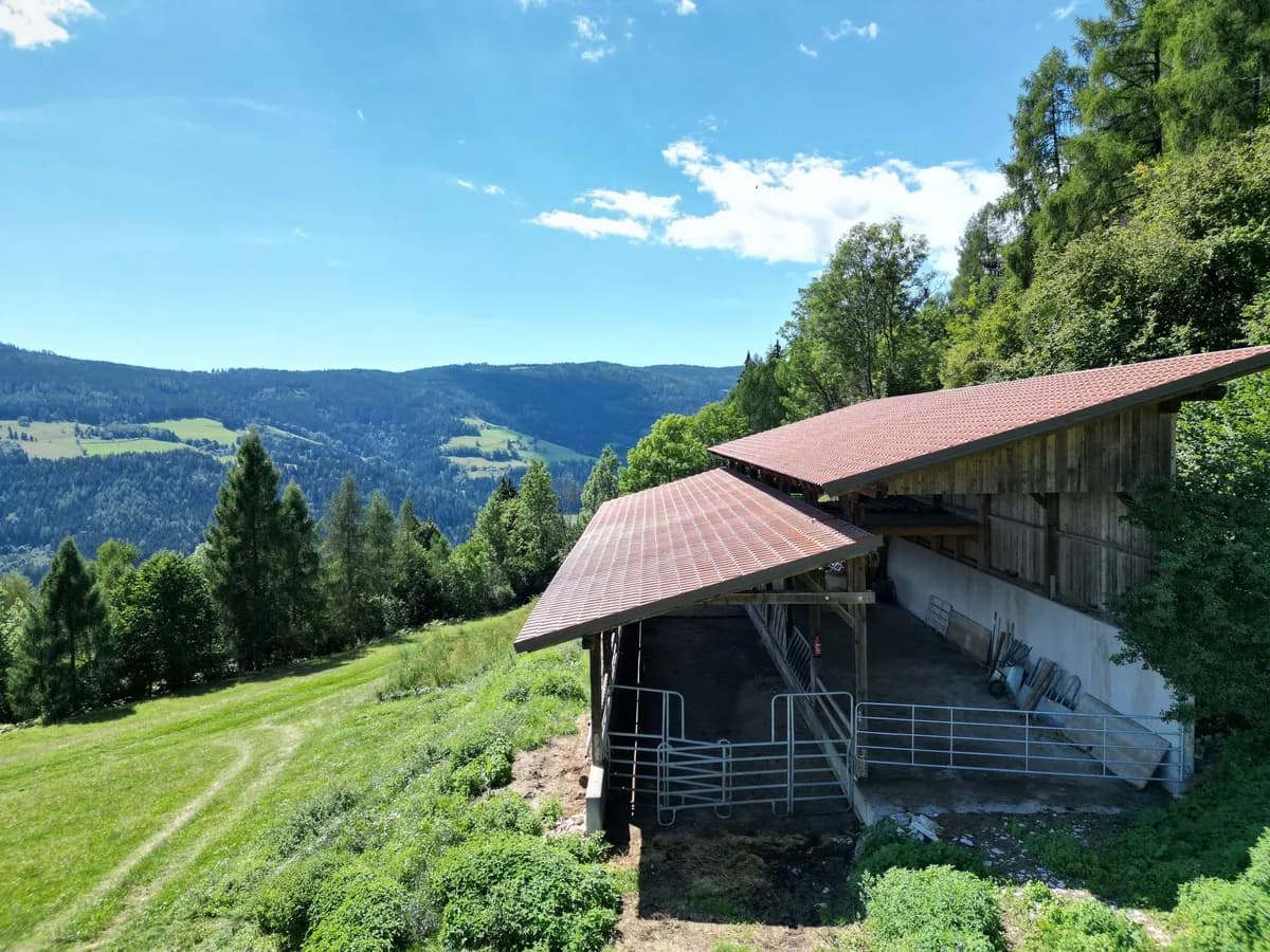 Grundstück kaufen in Sankt Veit an der Glan – 107 606 m², € 480.000 – Bild 4 von 8