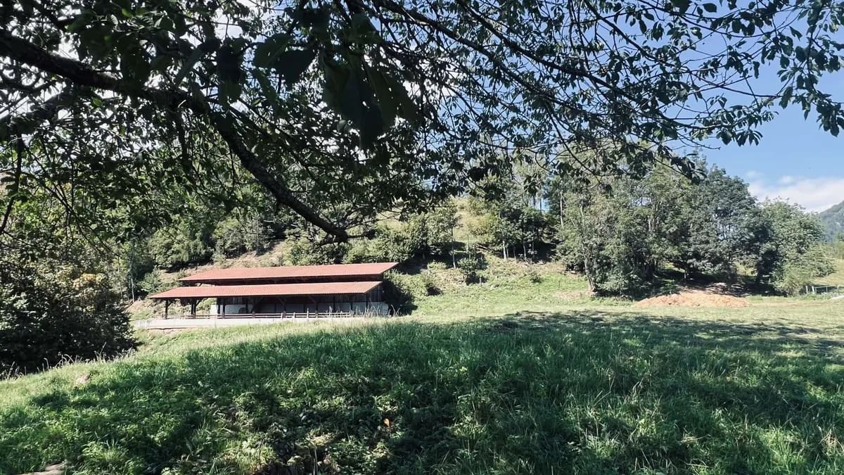Grundstück kaufen in Sankt Veit an der Glan – 107 606 m², € 480.000 – Bild 5 von 8
