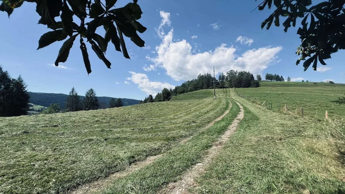 Grundstück kaufen in Sankt Veit an der Glan – 107 606 m², € 480.000 – Bild 7 von 8