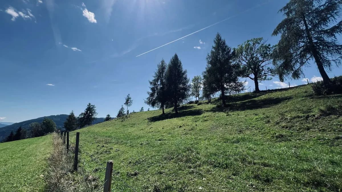 Grundstück kaufen in Sankt Veit an der Glan – 107 606 m², € 480.000 – Bild 8 von 8