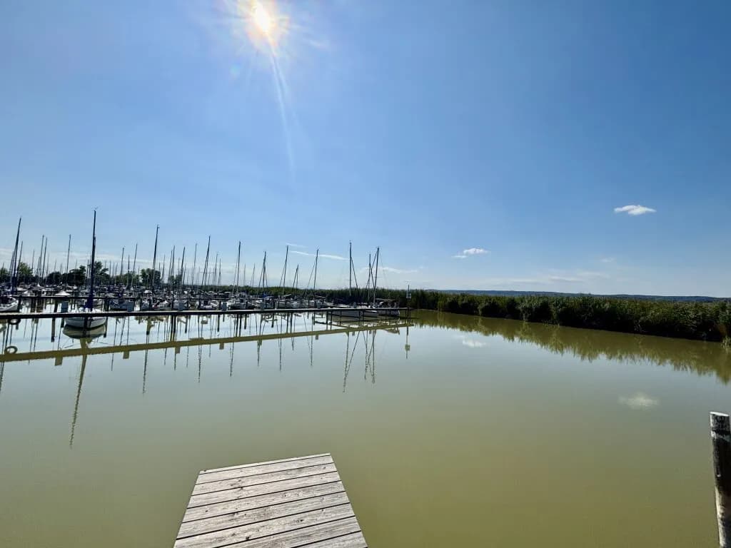 Immobilie kaufen in Neusiedl am See – 144 m², € 2.950.000 – Bild 7 von 21