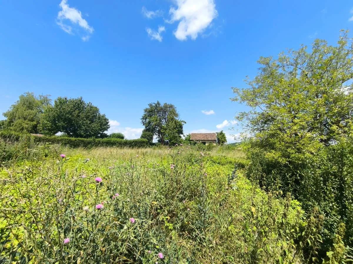 Immobilie kaufen in Mistelbach – 193 m², € 94.990 – Bild 9 von 41