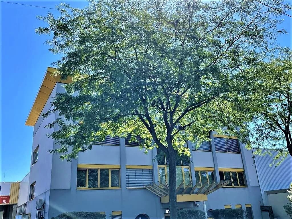 4-Zimmer-Gewerbeimmobilie mieten in Wien – 168 m², € 1.787 – Bild 29 von 39