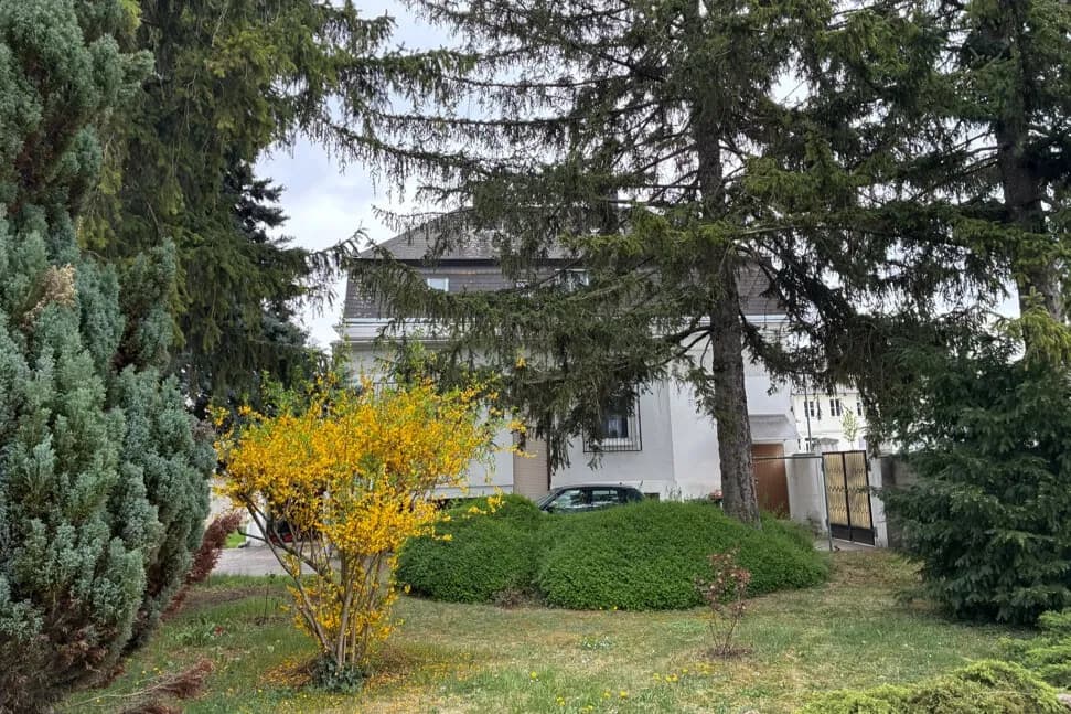 Immobilie kaufen in Wiener Neustadt – 160 m², € 690.000 – Bild 2 von 15