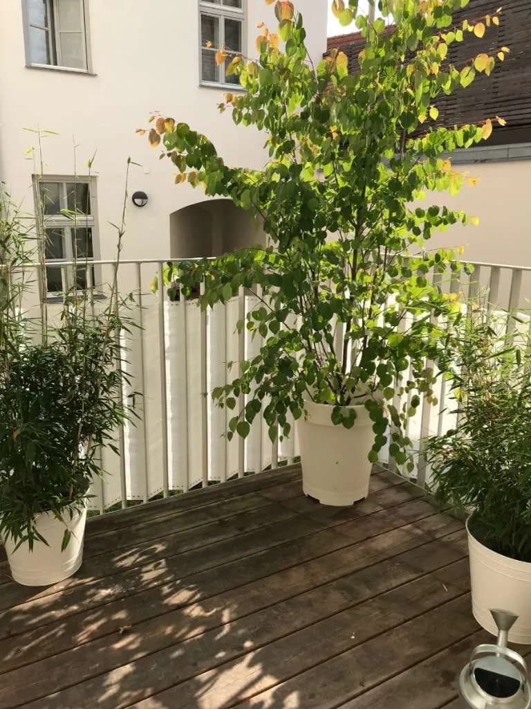 Wohnung mieten in Deutschlandsberg – 87,3 m², € 893 – Bild 7 von 8