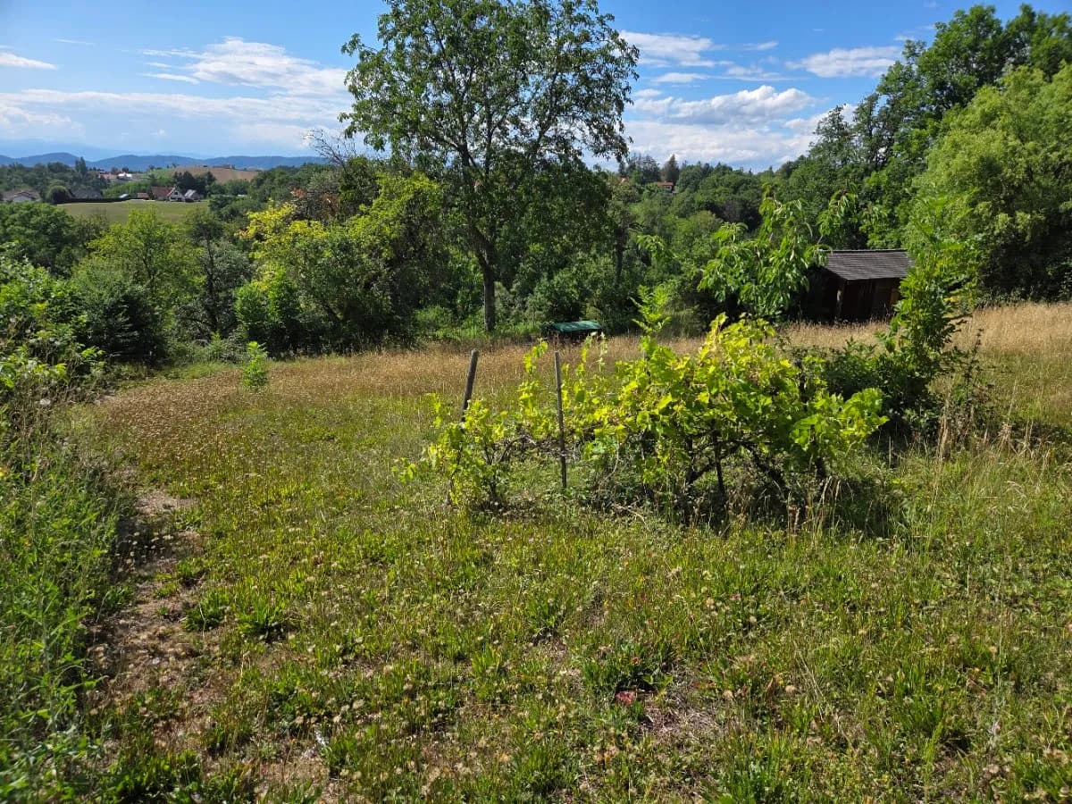 Grundstück kaufen in Graz-Umgebung – 594 m², € 349.000 – Bild 6 von 11