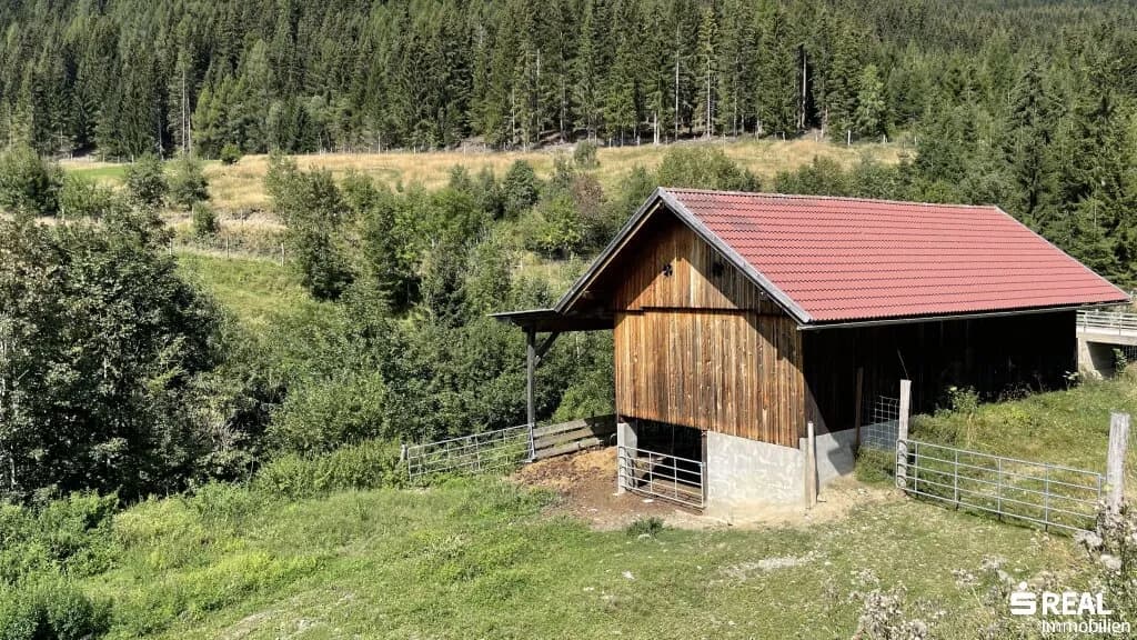 Grundstück kaufen in Feldkirchen – 519 325 m² – Bild 5 von 11
