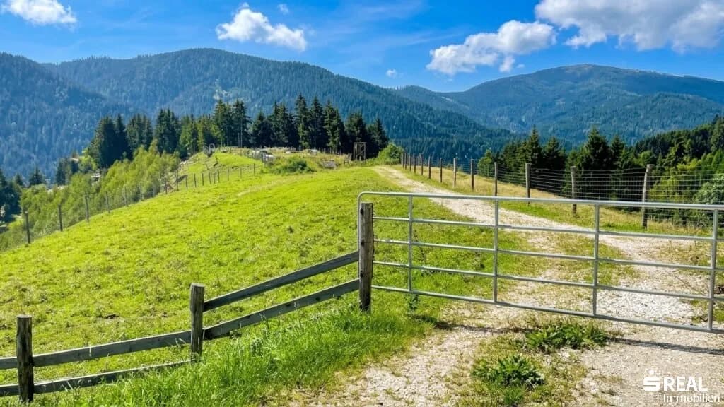 Grundstück kaufen in Feldkirchen – 519 325 m² – Bild 7 von 11