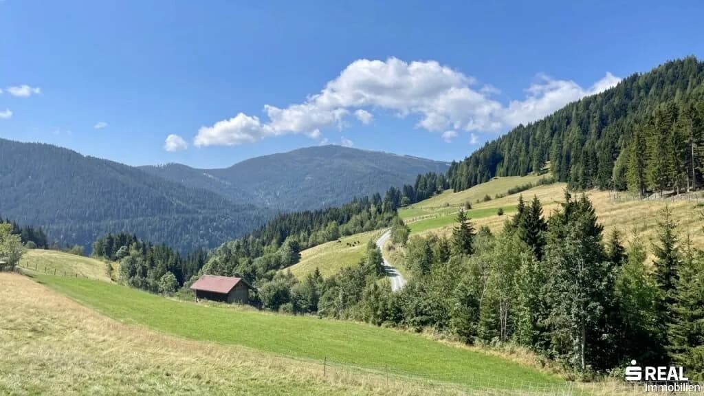 Grundstück kaufen in Feldkirchen – 519 325 m² – Bild 8 von 11