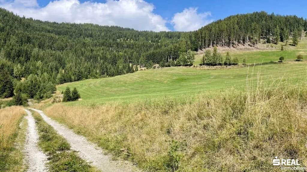 Grundstück kaufen in Feldkirchen – 519 325 m² – Bild 9 von 11