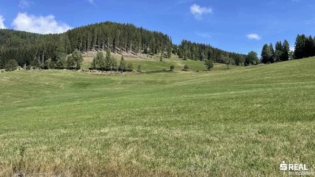 Grundstück kaufen in Feldkirchen – 519 325 m² – Bild 10 von 11