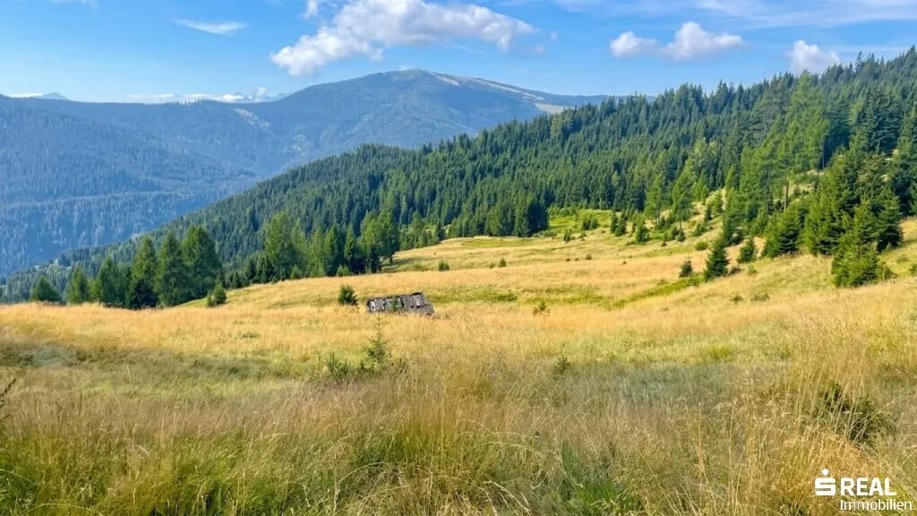 Grundstück kaufen in Feldkirchen – 519 325 m² – Bild 11 von 11