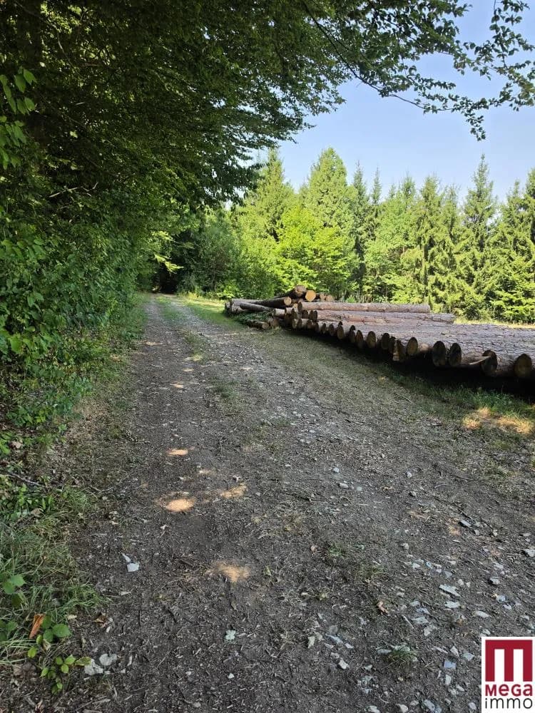 Grundstück kaufen in Weiz – 555 m², € 86.025 – Bild 6 von 14