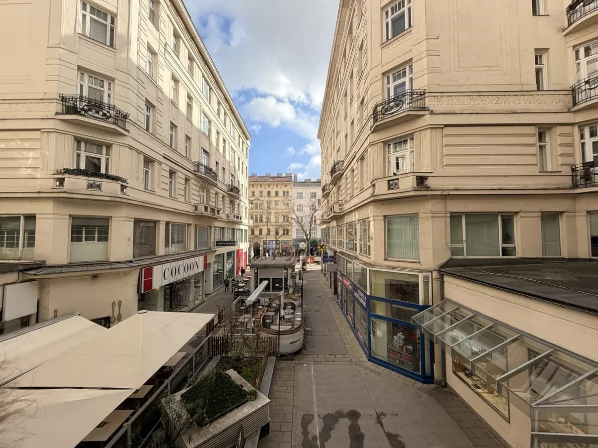 5-Zimmer-Gewerbeimmobilie mieten in Wien – 250 m², € 3.490 – Bild 5 von 13
