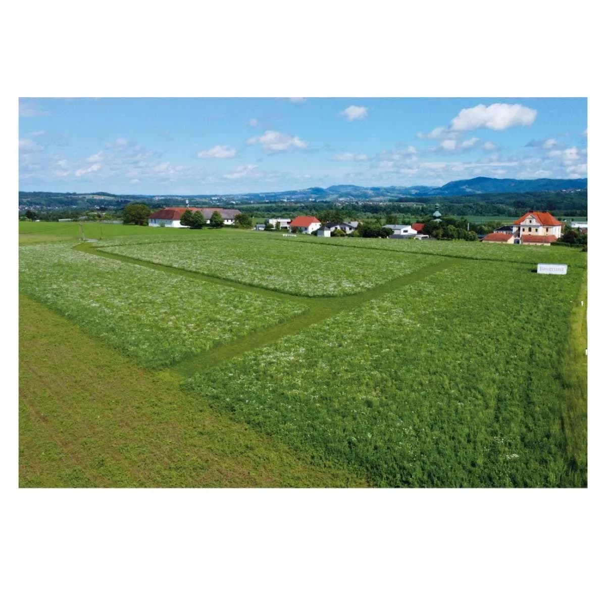 Grundstück kaufen in Steyr-Land – 710 m², € 188.500 – Bild 1 von 4
