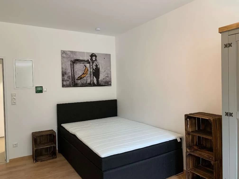 1-Zimmer-Wohnung mieten in Rohrbach – 45 m², € 380 – Bild 5 von 8