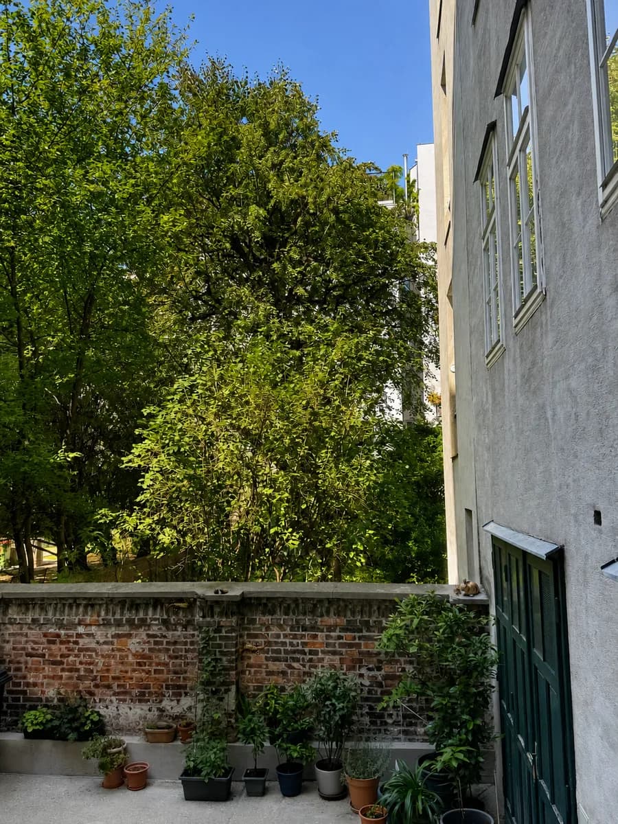 1-Zimmer-Wohnung mieten in Wien – 20 m², € 572 – Bild 7 von 13