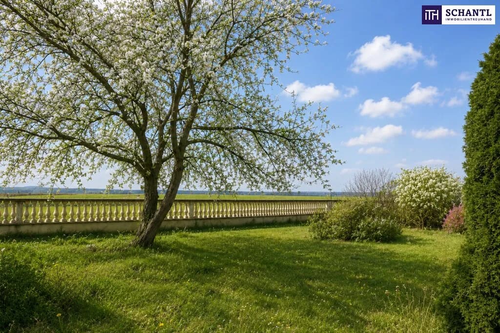 Grundstück kaufen in Gänserndorf – 500 m², € 197.500 – Bild 2 von 5