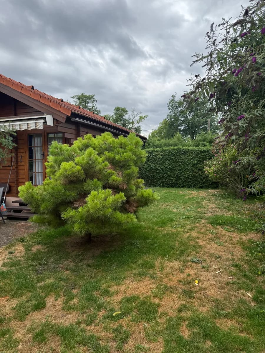 Immobilie kaufen in Wien – 437 m², € 499.000 – Bild 3 von 17