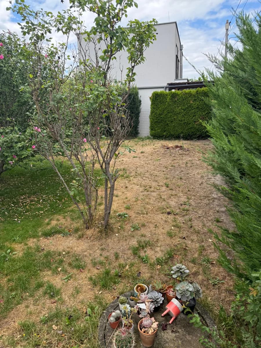 Immobilie kaufen in Wien – 437 m², € 499.000 – Bild 5 von 17
