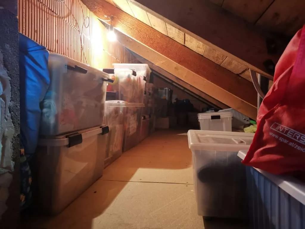 5-Zimmer-Haus mieten in Bruck an der Leitha – 135 m², € 1.850 – Bild 26 von 31