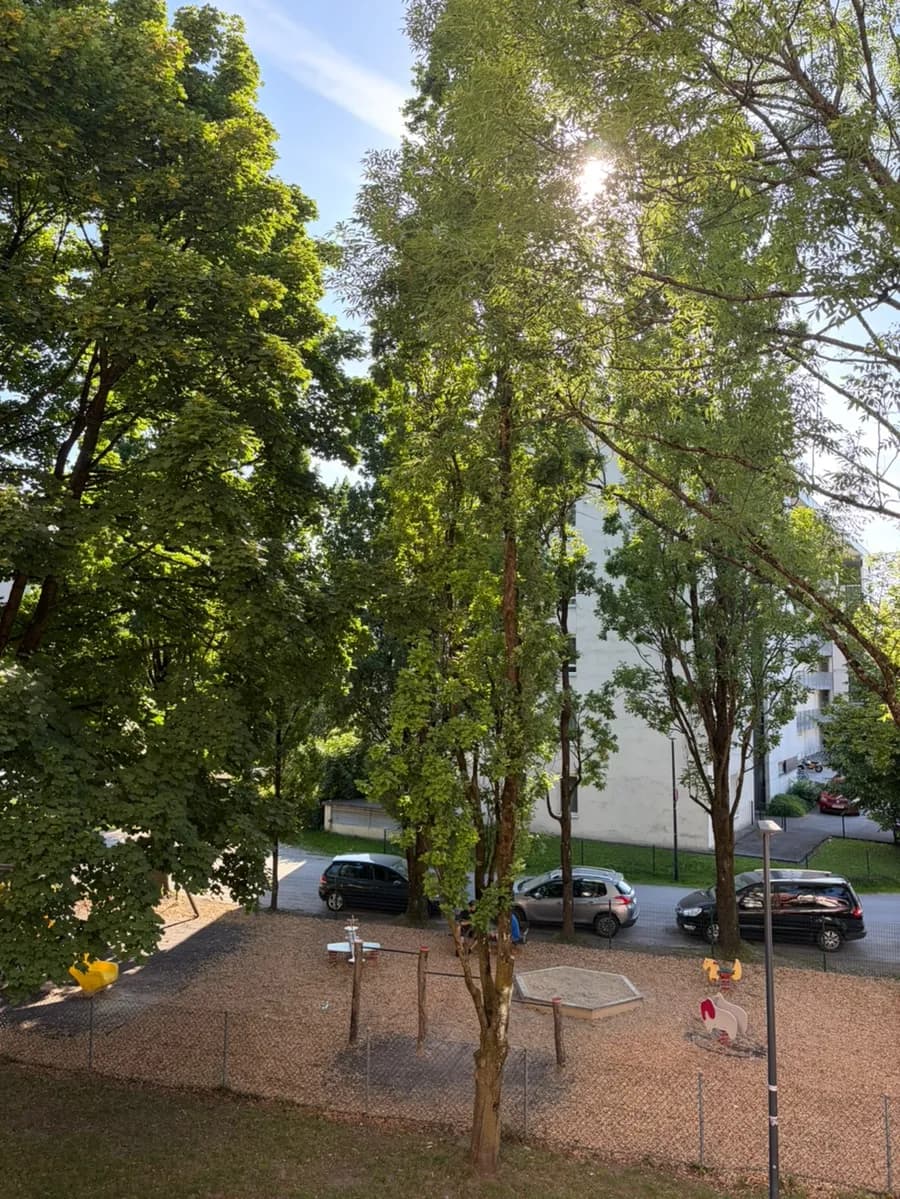 2-Zimmer-Wohnung mieten in Salzburg Stadt – 38 m², € 950 – Bild 7 von 7