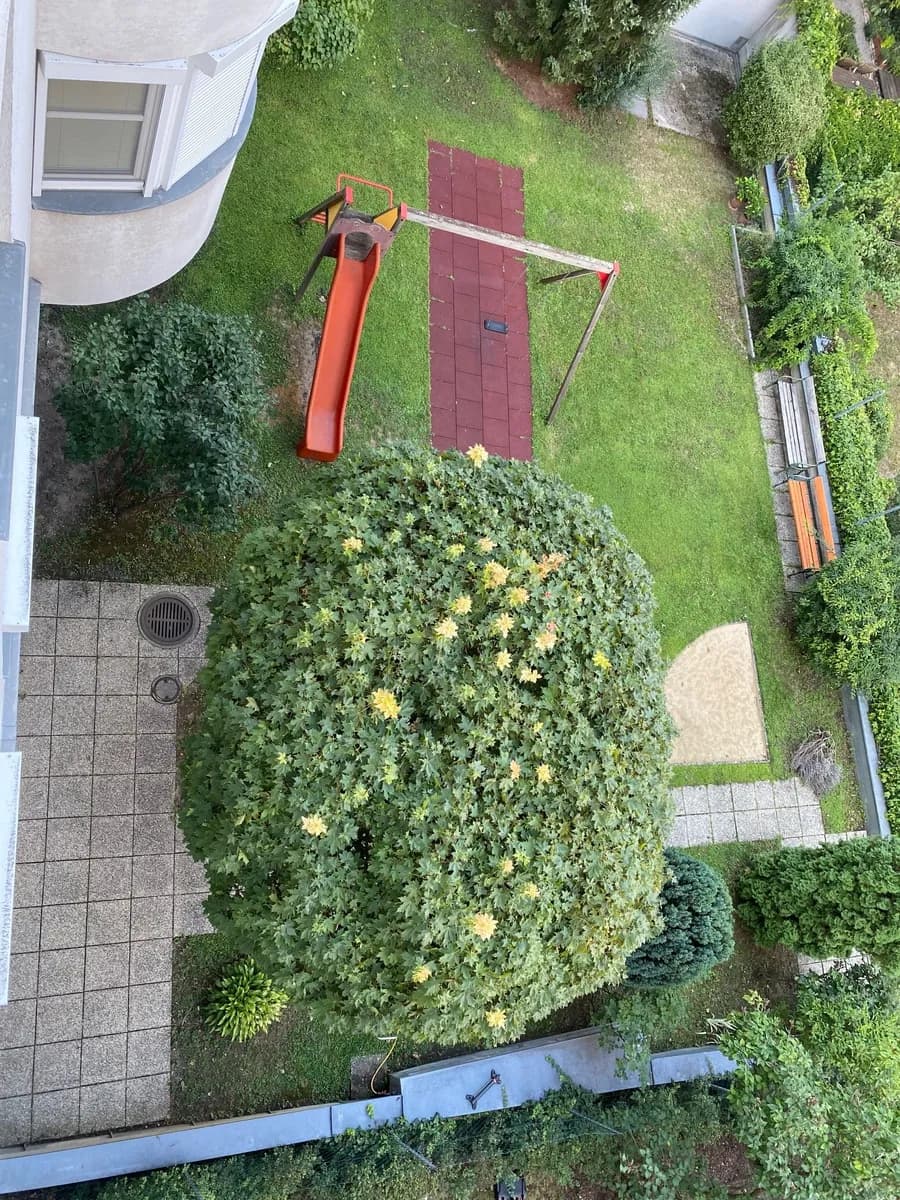 3-Zimmer-Wohnung mieten in Wien – 90 m², € 1.312 – Bild 7 von 15
