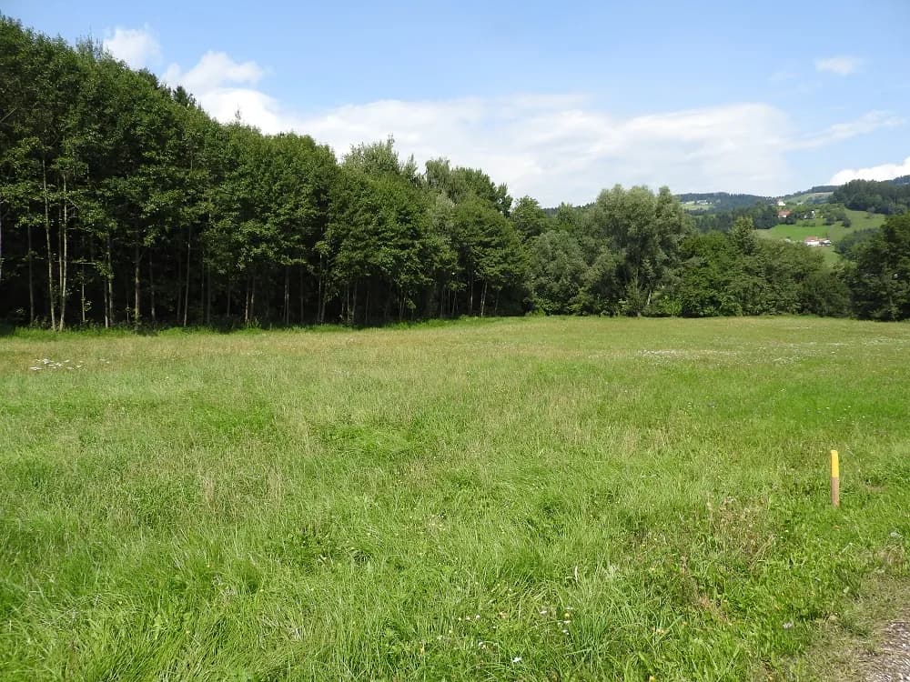 Grundstück kaufen in Wolfsberg – 900 m² – Bild 2 von 3