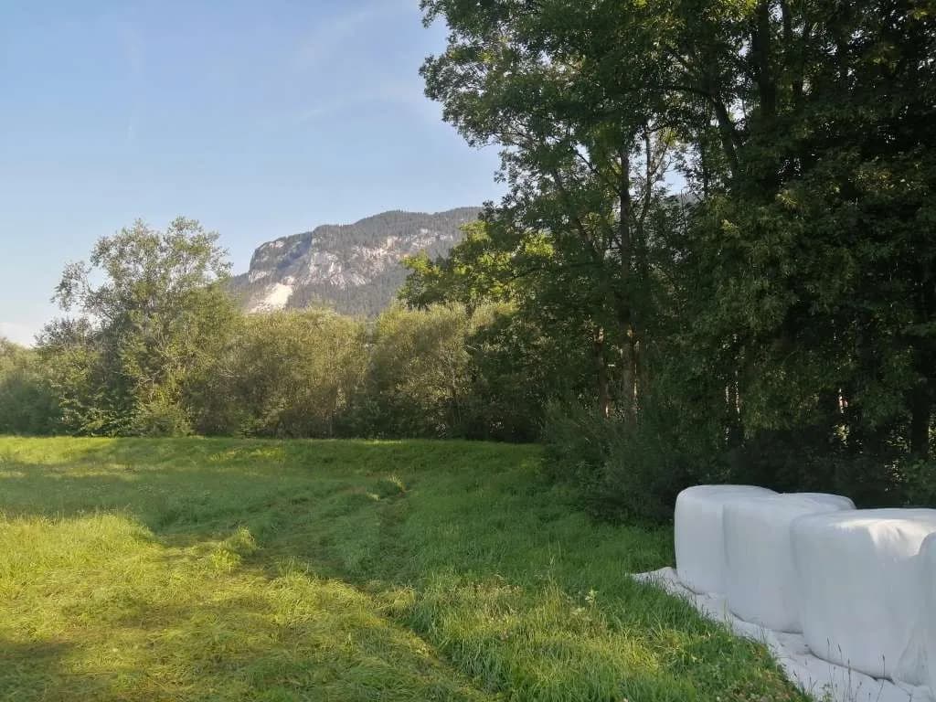Grundstück kaufen in Liezen – 8 280 m², € 679.000 – Bild 5 von 7