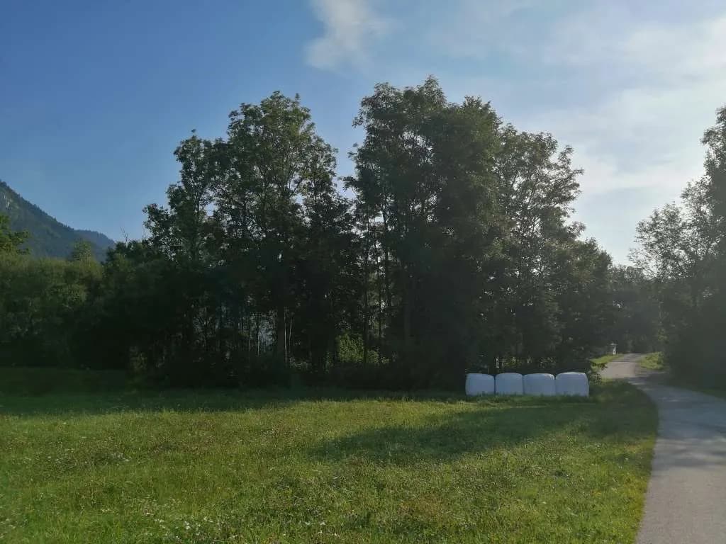 Grundstück kaufen in Liezen – 8 280 m², € 679.000 – Bild 6 von 7