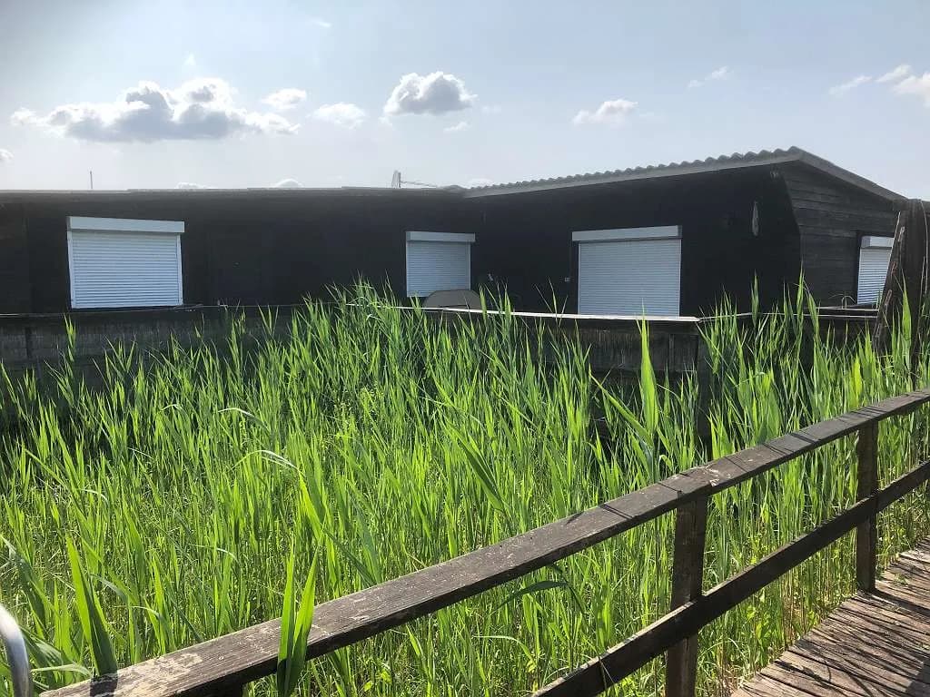 4-Zimmer-Wohnung mieten in Neusiedl am See – 90 m², € 450 – Bild 1 von 62