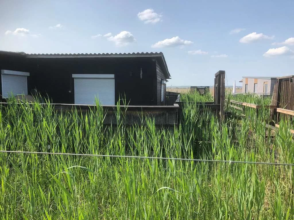 4-Zimmer-Wohnung mieten in Neusiedl am See – 90 m², € 450 – Bild 4 von 62