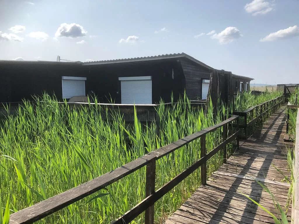 4-Zimmer-Wohnung mieten in Neusiedl am See – 90 m², € 450 – Bild 5 von 62