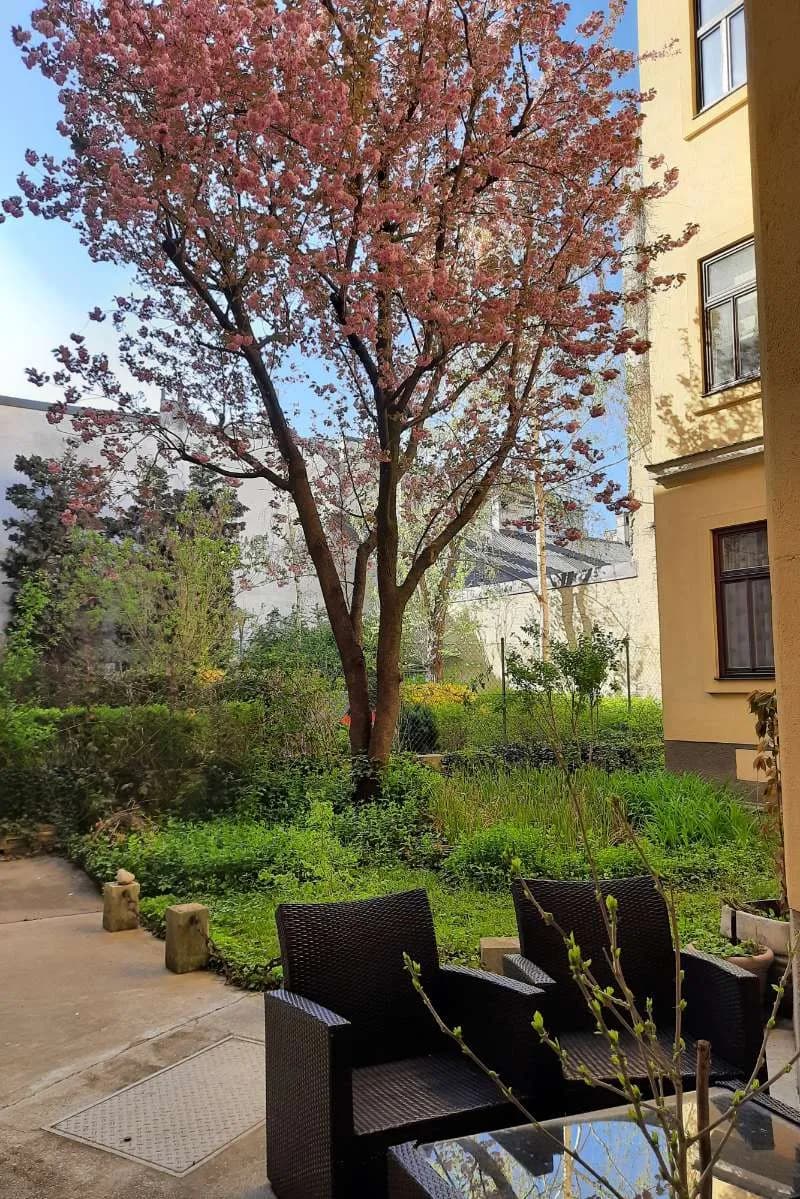 6-Zimmer-Wohnung mieten in Wien – 144 m², € 2.685 – Bild 35 von 40