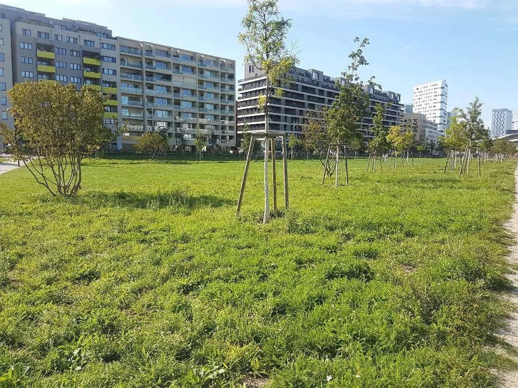 3-Zimmer-Wohnung mieten in Wien – 78 m², € 1.580